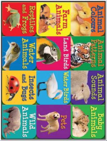 Chunky Tray Animals Learning Library by Various