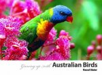 Growing up with Australia Birds
