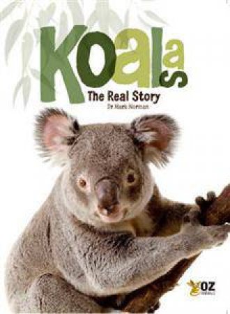 Koalas: The Real Story by Dr Mark Norman