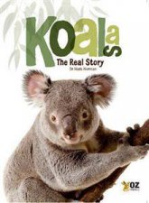 Koalas The Real Story