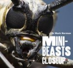 Close Up Minibeasts
