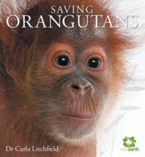 Saving Orangutans