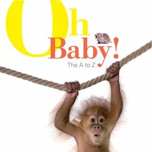Oh Baby! The A to Z by Corinne Fenton