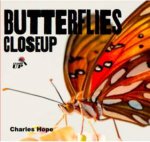 Butterflies CloseUp