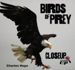 Birds of Prey