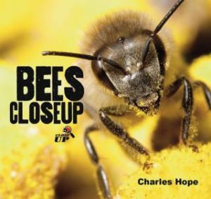 Bees Closeup by Charles Hope