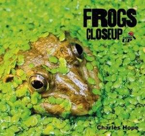 Frogs CloseUp by Charles Hope