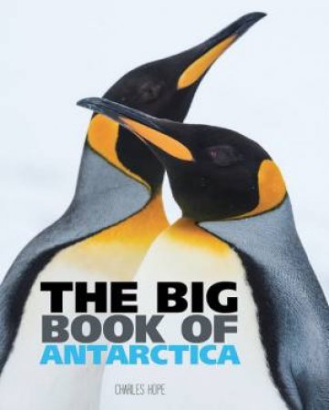 The Big Book Of Antartica by Various