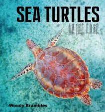 Sea Turtles On The Edge