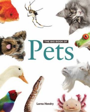 The Big Book Of Pets by Lorna Hendry