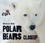 Polar Bears CloseUp