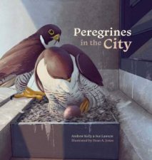 Peregrines In The City