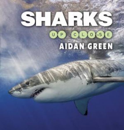 Sharks Up Close by Aidan Green