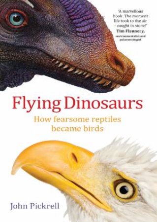 Flying Dinosaurs by John Pickrell