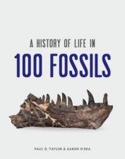 A History of Life in 100 Fossils