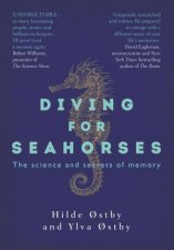 Diving For Seahorses