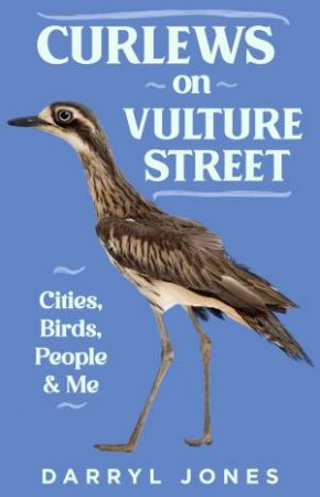 Curlews On Vulture Street by Darryl Jones