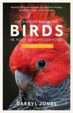 Getting to Know the Birds in Your Neighbourhood