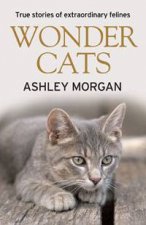 Wonder Cats