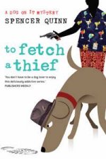 To Fetch a Thief