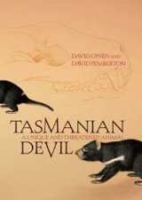 Tasmanian Devil