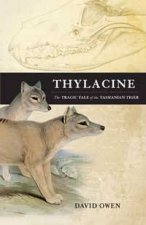 Thylacine