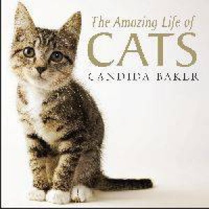 Amazing Life of Cats by Candida Baker