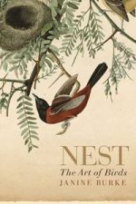 Nest The Art Of Birds