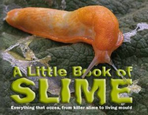 A Little Book of Slime by Various