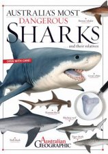 Australias Most Dangerous Sharks