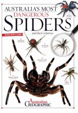 Australias Most Dangerous Spiders