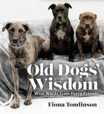 Old Dogs' Wisdom by Fiona Tomlinson