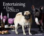 Entertaining A Dogs World