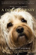 A Dogs Journey