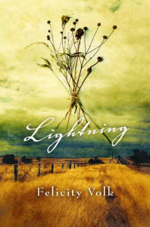 Lightning by Felicity Volk