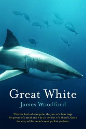 Great White by James Woodford