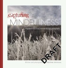 Capturing Mindfulness