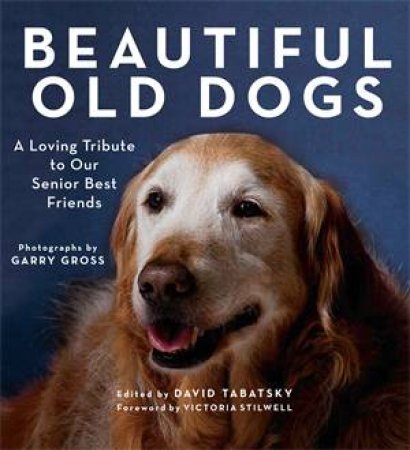 Beautiful Old Dogs by David Tabatsky