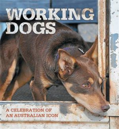 Working Dogs by Rural Press
