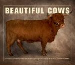 Beautiful Cows