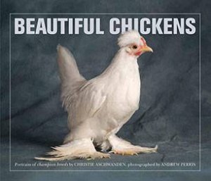Beautiful Chickens by Various