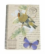 A5 Spiral NPadGoldcrest