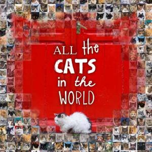 All the Cats in the World by Jesse Hunter