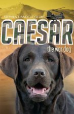 Caesar the War Dog