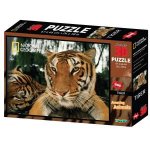 3D National Geographic Puzzle Tiger