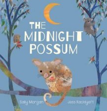 The Midnight Possum