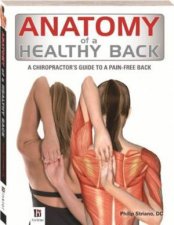 Anatomy Of A Healthy Back