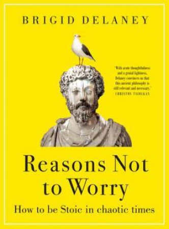 Reasons Not To Worry by Brigid Delaney