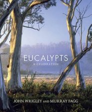 Eucalypts