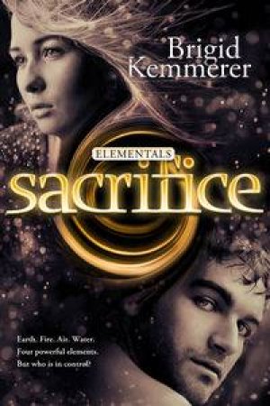 Sacrifice by Brigid Kemmerer